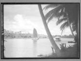 [Untitled]