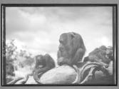 [Untitled]