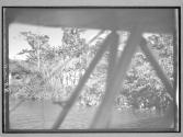 [Untitled]
