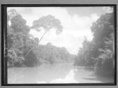 [Untitled]