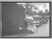 [Untitled]
