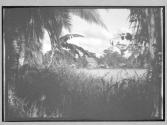 [Untitled]