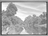 [Untitled]