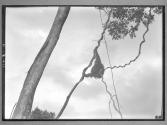 [Untitled]