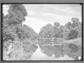 [Untitled]