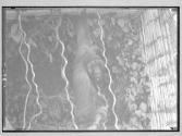 [Untitled]