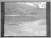 [Untitled]