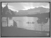 [Untitled]