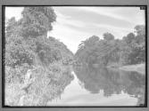 [Untitled]
