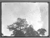 [Untitled]