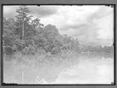 [Untitled]