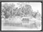 [Untitled]