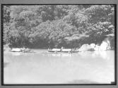 [Untitled]