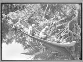 [Untitled]