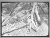 [Untitled]