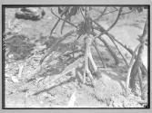 [Untitled]