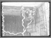 [Untitled]