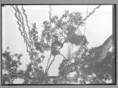 [Untitled]