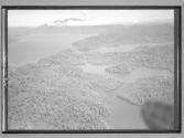 [Untitled]