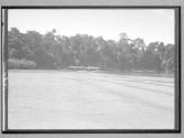 [Untitled]