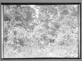 [Untitled]