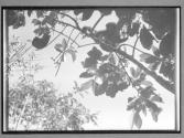 [Untitled]