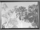 [Untitled]