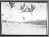 [Untitled]