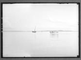 [Untitled]