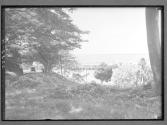 [Untitled]