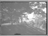 [Untitled]