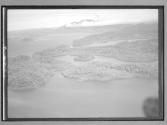 [Untitled]