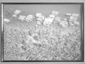 [Untitled]