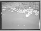 [Untitled]