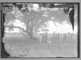 [Untitled]