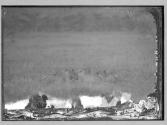 [Untitled]