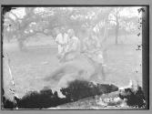 [Untitled]