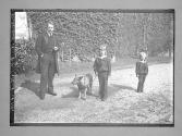 Belgique Pce Albert et fils