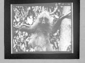 [Untitled]