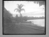 [Untitled]