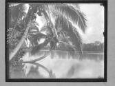 [Untitled]