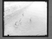 [Untitled]