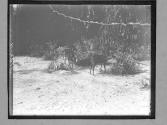 [Untitled]