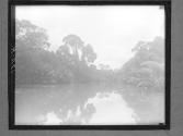 [Untitled]