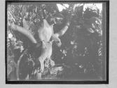 [Untitled]