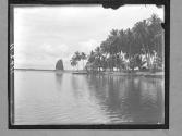 [Untitled]