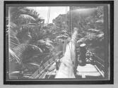 [Untitled]