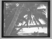 [Untitled]