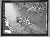 [Untitled]