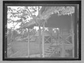 [Untitled]